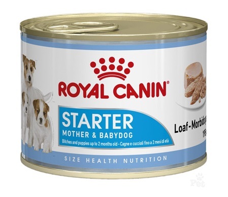 کنسرو غذای سگ استارتر رویال کنین