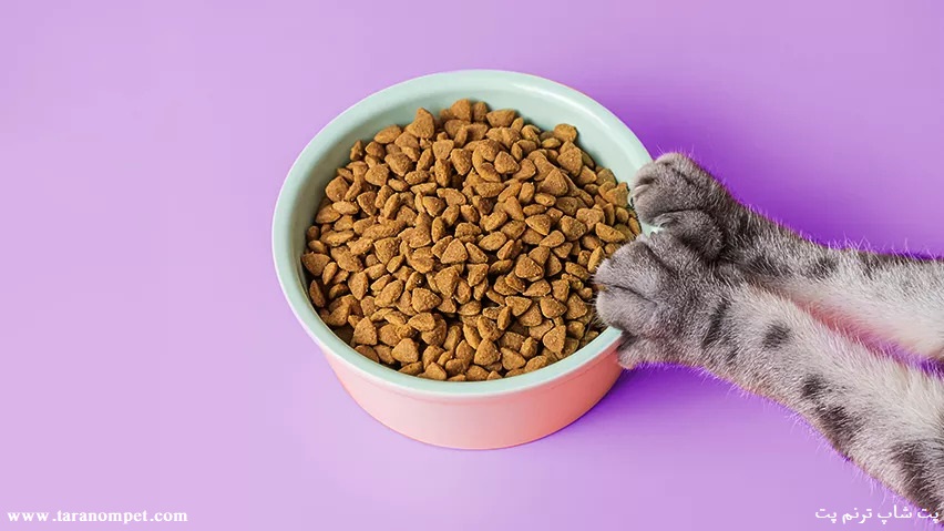 غذای خشک گربه