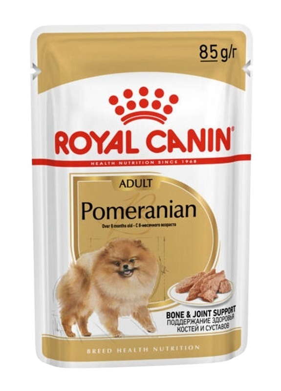 پوچ سگ بالغ پامرانیان رویال کنین