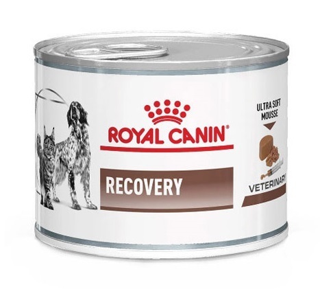  کنسرو ریکاوری سگ و گربه رویال کنین 