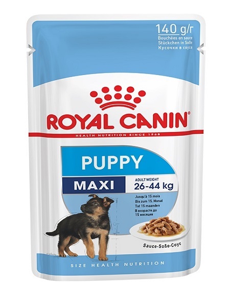  پوچ توله سگ نژاد بزرگ رویال کنین 