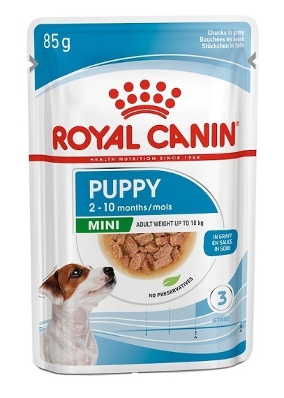  پوچ توله سگ نژاد کوچک رویال کنین 