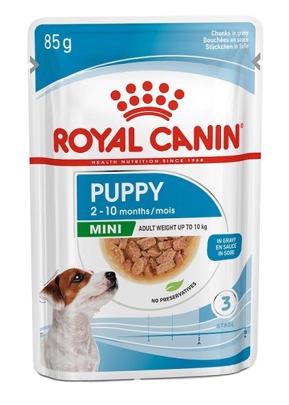 پوچ توله سگ نژاد کوچک رویال کنین