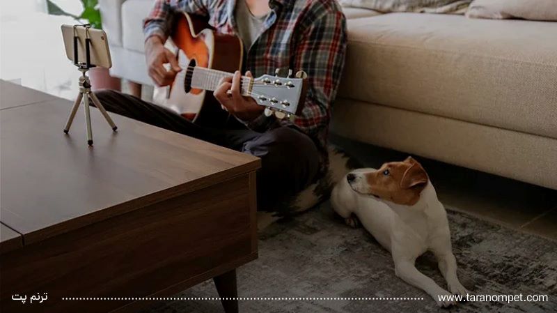 موسیقی آرامش بخش برای سگ