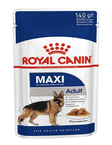  پوچ سگ بالغ نژاد بزرگ رویال کنین 