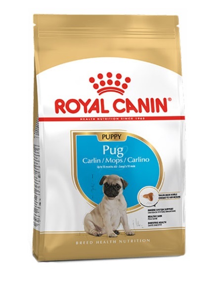  غذای خشک توله نژاد پاگ رویال کنین 