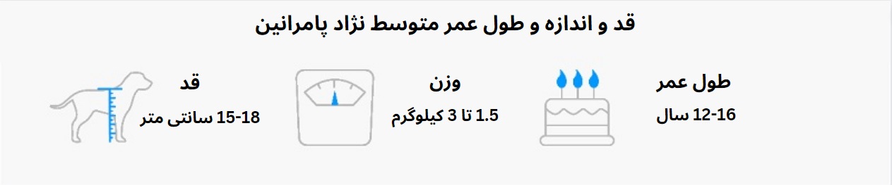 طول عمر پامرانین