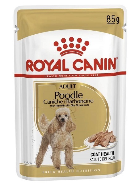 پوچ سگ بالغ پودل رویال کنین