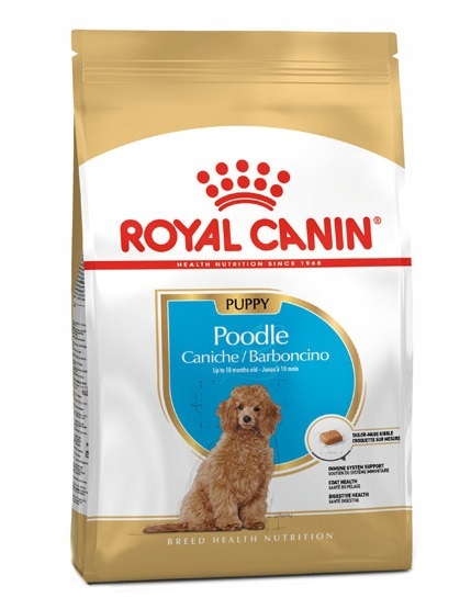  غذای خشک توله سگ پودل رویال کنین 