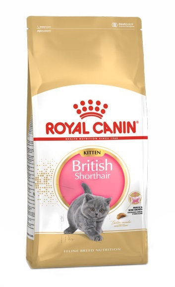 غذای خشک بچه گربه بریتیش رویال کنین